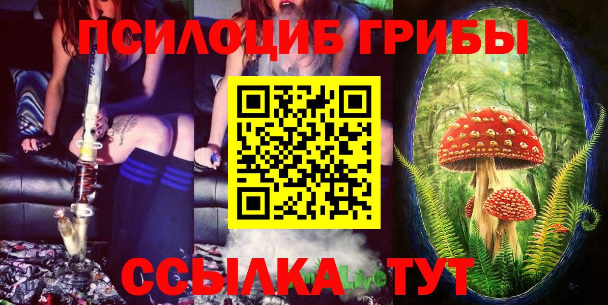 Галлюциногенные грибы прущие грибы Бугуруслан